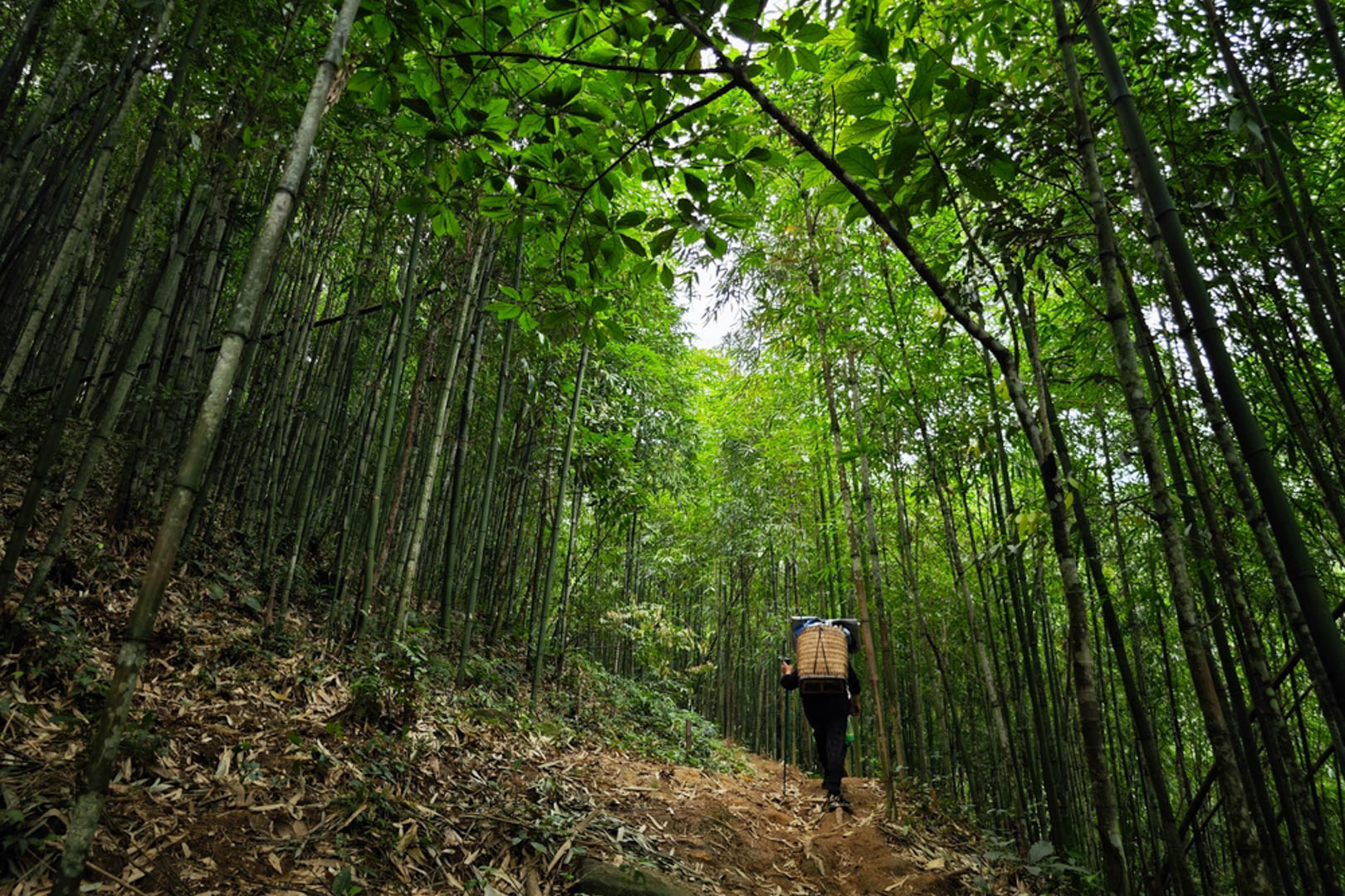 Trekking Bach Moc Luong Tu Ky Quan San Tour 4 Days